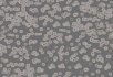 990106 Bacteria 990304 Bacteria