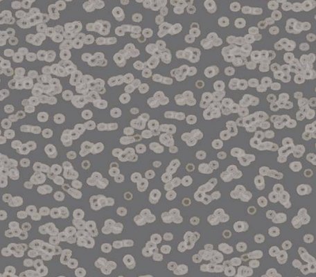 Flotex Sottsass 990304 Bacteria ID:2765, 1