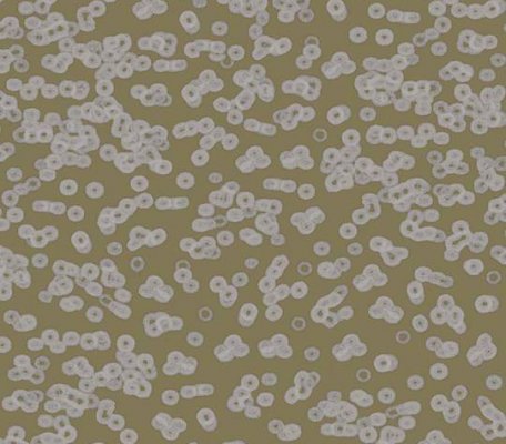 Flotex Sottsass 990401 Bacteria ID:2766, 1