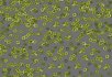 990106 Bacteria 990302 Bacteria