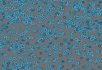 990106 Bacteria 990303 Bacteria