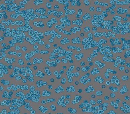 Flotex Sottsass 990303 Bacteria ID:2768, 1