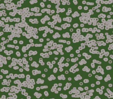 Flotex Sottsass 990403 Bacteria ID:2770, 1