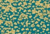 990106 Bacteria 990503 Bacteria