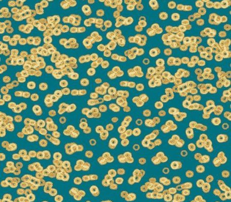 Flotex Sottsass 990503 Bacteria ID:2771, 1