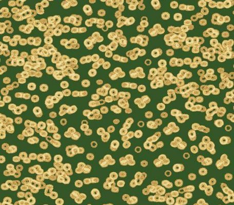 Flotex Sottsass 990502 Bacteria ID:2772, 1
