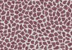 990106 Bacteria 990707 Terrazzo