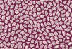 990106 Bacteria 990704 Terrazzo