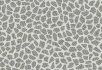 990202 Bacteria 990706 Terrazzo