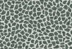 990106 Bacteria 990709 Terrazzo