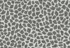 990106 Bacteria 990705 Terrazzo