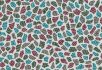 990106 Bacteria 990713 Terrazzo