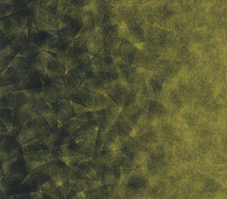 Flotex by Starck Artist emerald / chartreuse B4 ID:3007, 1