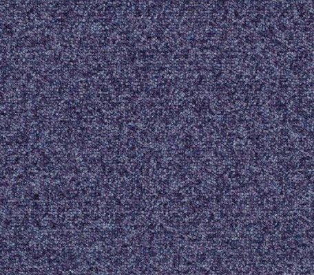 Tessera Basis Blackcurrant ID:3054, 1