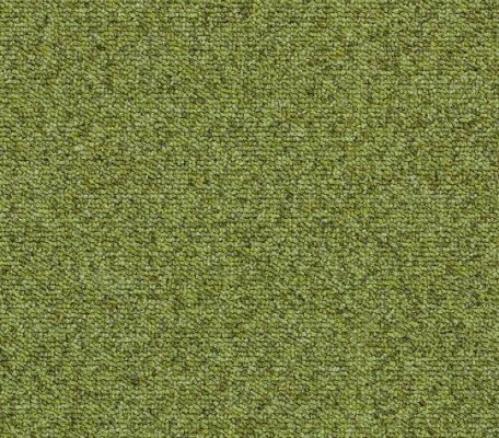 Tessera Basis Meadow ID:3059, 1