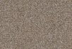 Emerald Beige