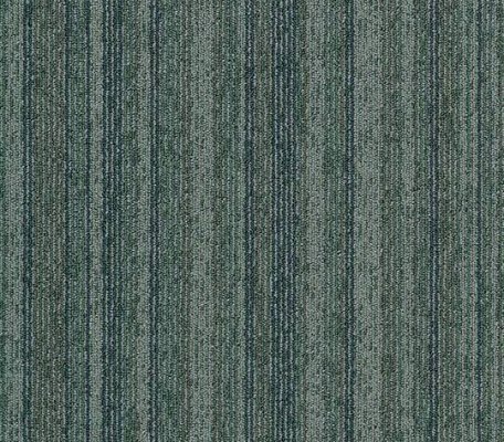 Tessera Barcode Fishing line ID:3131, 1