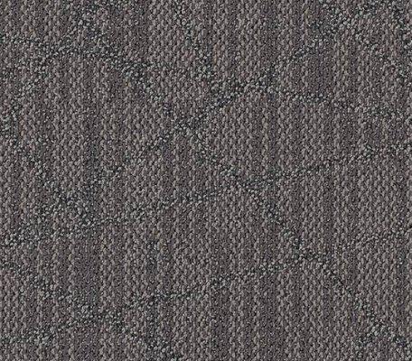 Tessera Nexus Review ID:3286, 1