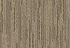 Dandelion Sandstone