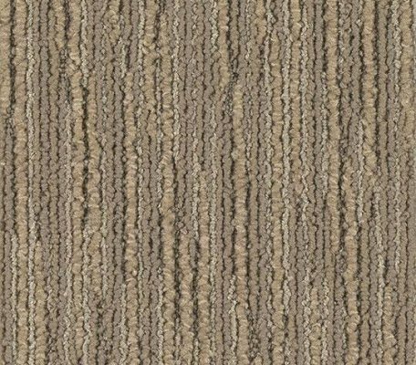 Tessera Seagrass Sandstone ID:3391, 1