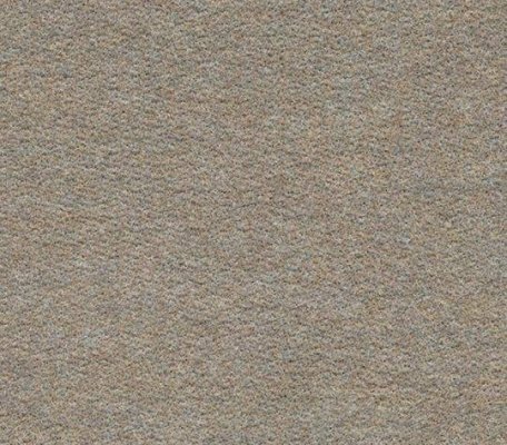 Colour Sable ID:3841, 1