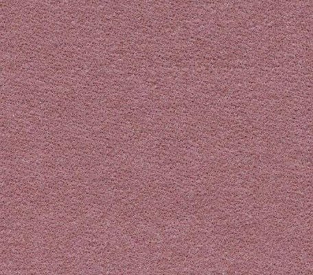 Colour Rose ID:3844, 1