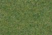 Taupe Field
