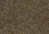 Taupe Desert