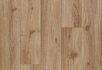 Dark chestnut Hazelnut oak