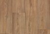 Dark chestnut Warm chestnut