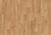 Dark chestnut Tropical beech