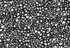 Coral terrazzo Black graphito