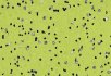 Silver grey Yellow green
