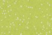 Dark neutral grey Yellow green