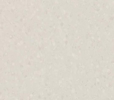 Sphera Element Ivory  ID:882, 1