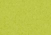 Yellow green Yellow green